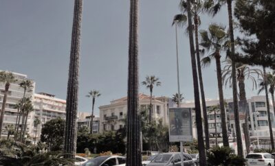 Welcome to The French Riviera