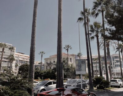 Welcome to The French Riviera